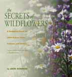 Secrets of Wildflowers